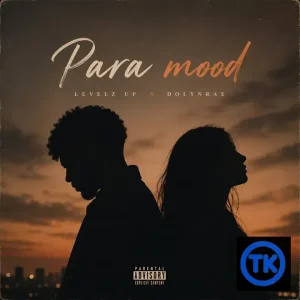 Levelz UP - Para Mood (ft. Dolyn Rae)